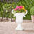 Garden Urn Planter For Patio Backyard Outdoor Space-1650139961