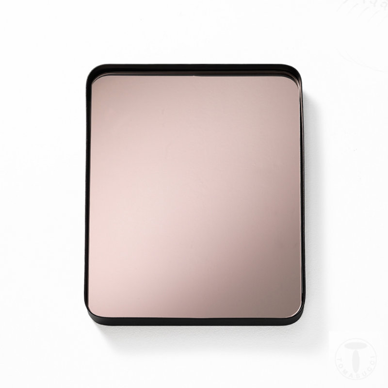 Metal Framed Wall Mounted Accent Mirror in Black