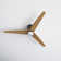 Montego 52'' Ceiling Fan with LED Lights