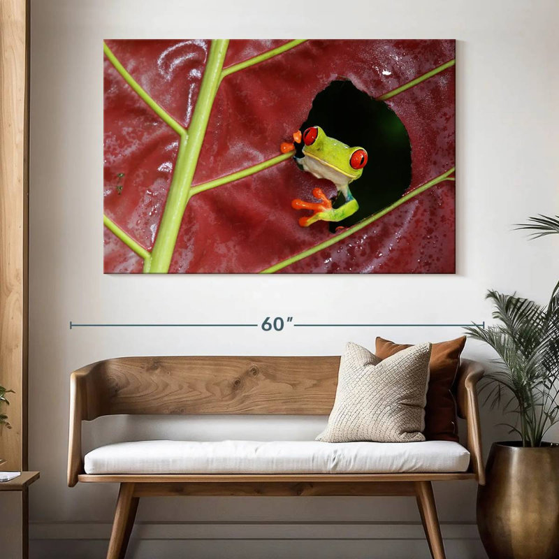 Brampt Wild Red Eyed Tree Frog, 34" H x 51" W
