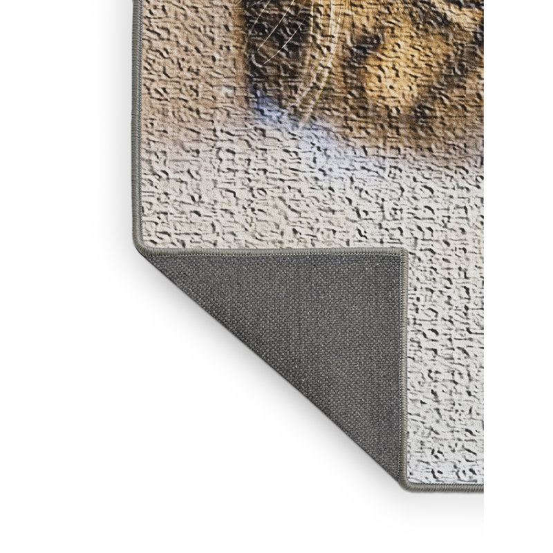 Tapise 6 zones beige cat portrait, Rectangle 4 pi x 6 pi