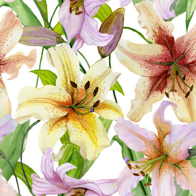 Adessa, belles fleurs de lys