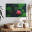 Harnek Lotus sous la pluie-108727474