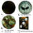 " Apes Orangutan Sunlit Jungle I "-97053247-97053245