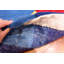Tapis bleu rétro George Earl Ortman