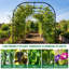 Treillis de jardin pour plantes grimpantes pour l'extérieur