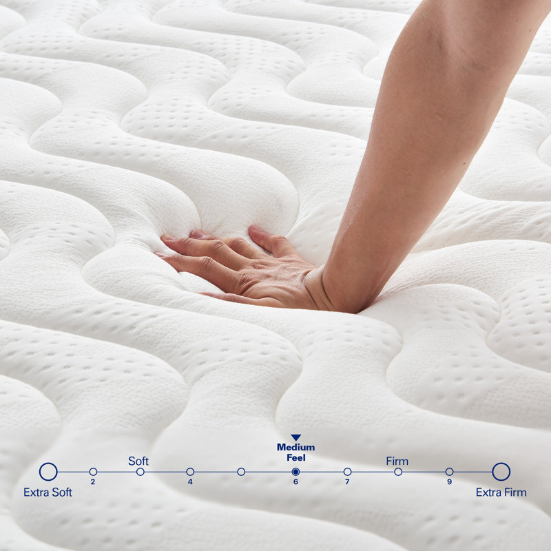 Matelas hybride Focalsweet avec plateau Euro pour adultes et enfants, 10", Très grand lit