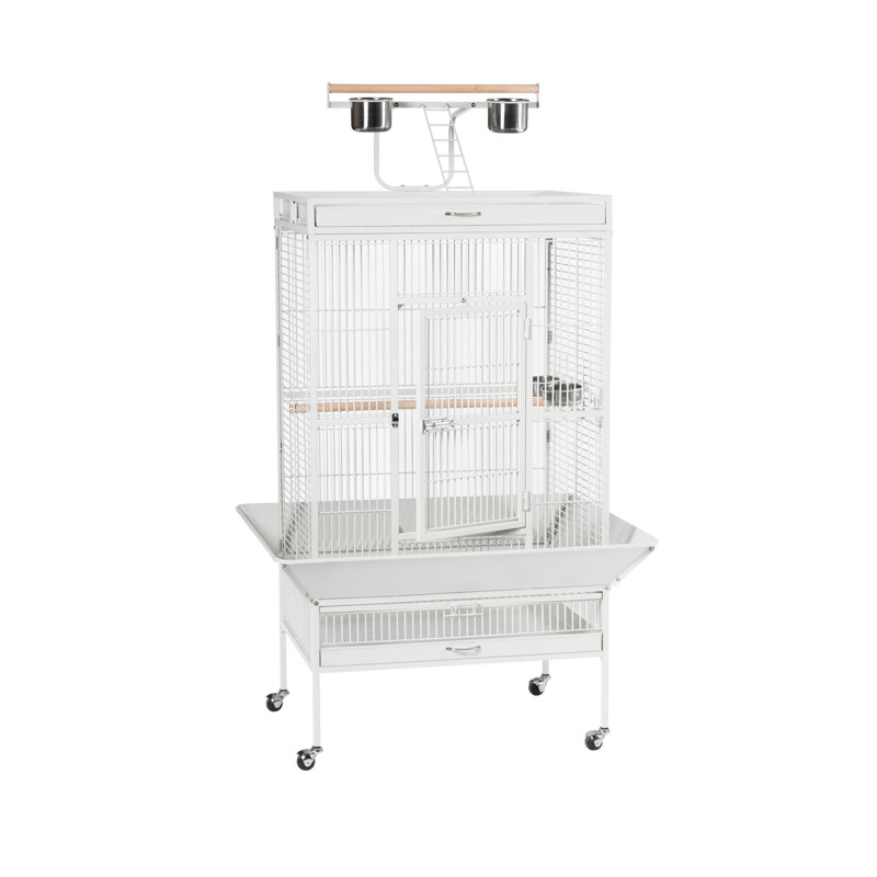 Cage à oiseau avec roues, support, perchoir, plateau Lucile, Blanc craie, Moyen (H 65 po x l 22 po x P 24 po)