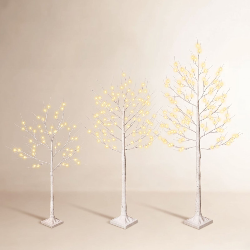 Ensemble de lumières DEL pour bouleau Adcock, 4 pi + 5 pi + 6 pi