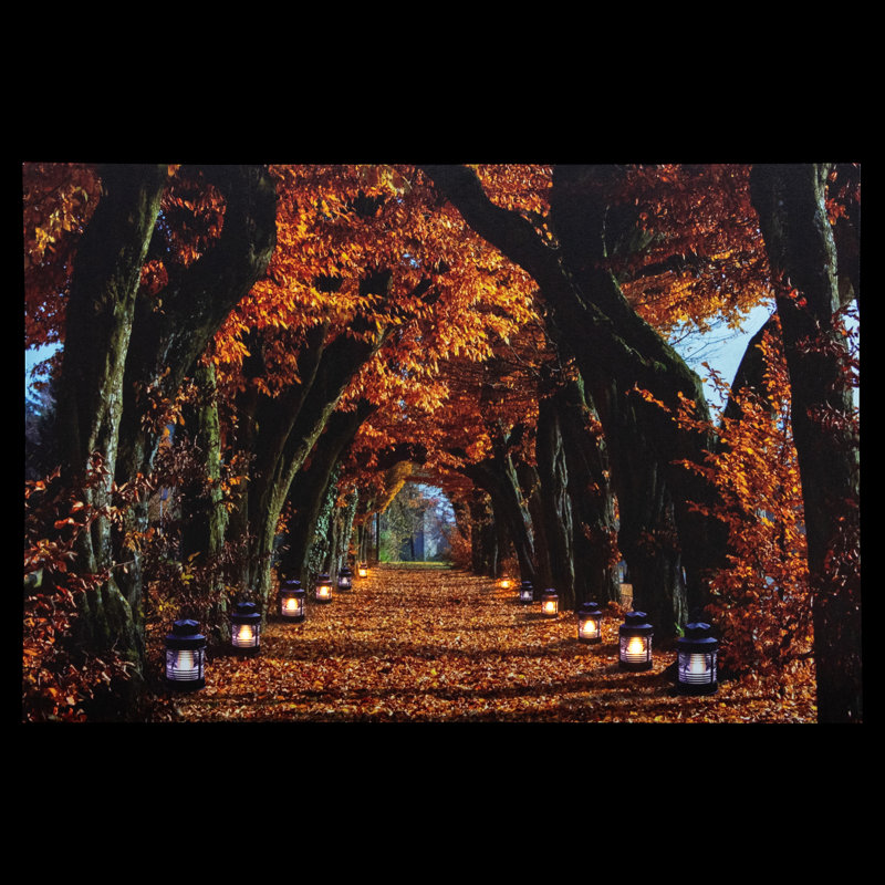 LED Lighted Fall Pathway Canvas Wall Art 23.5" x 15.75"