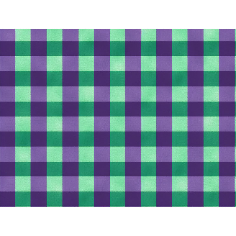 Plain Weave / Muslin Blanket