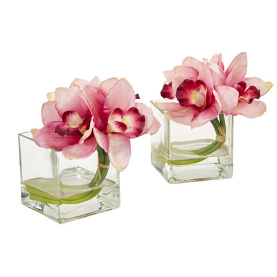 Orchid Arrangement in Vase