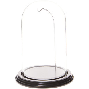 Cloche à dôme 4,5 po x 8 po