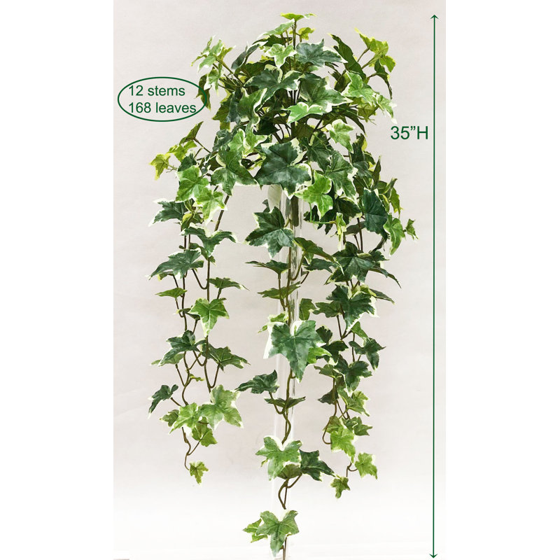 Faux Ivy Plant, 35" H x 22" W x 4" D
