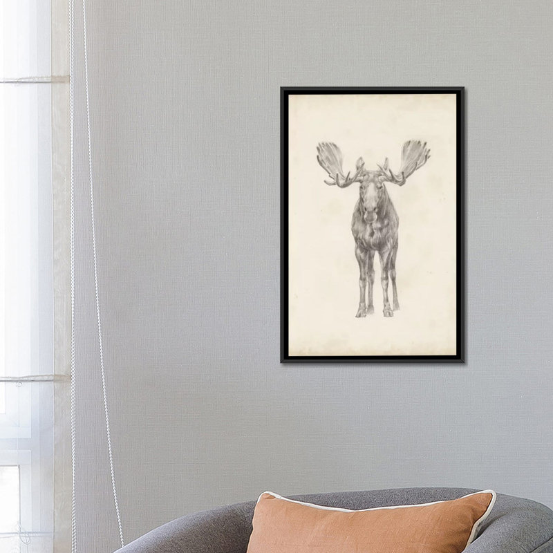 «Moose Study», reproduction sur toile, H 26 po x l 18 po x P 1,5 po, Toile avec cadre noir, Pas de tapis