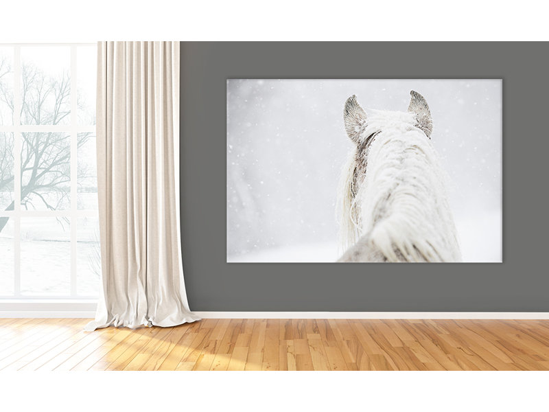 «Winter Dreaming», reproduction de photo sur toile