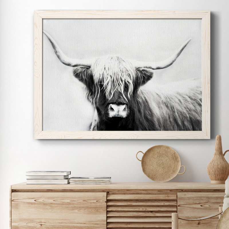 Highland Longhorn - Cadre flottant, reproduction de photo sur toile, H 37,5 po x l 27,5 po x P 1,5 po, Toile blanche encadrée