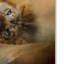 Vidur «Lion Love 2», impression sur toile tendue-22069838