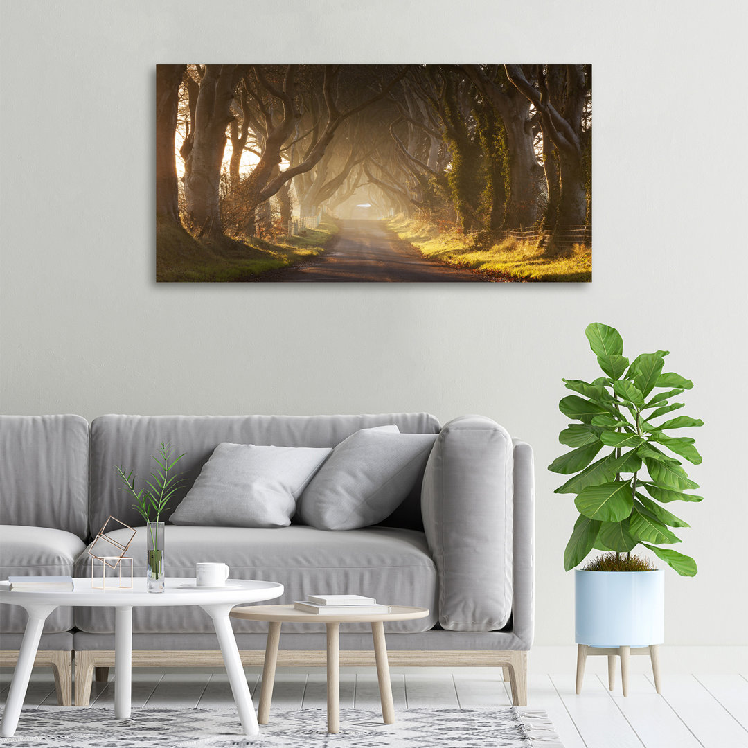 Nebel im Wald - Kunstdrucke auf Leinwand - Wrapped Canvas