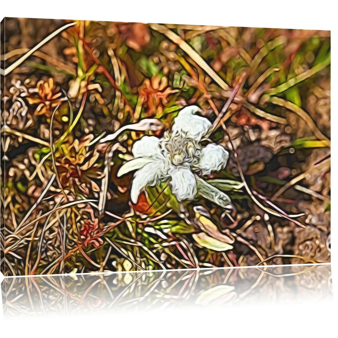 Leinwandbild Watteüberzogene Blüte