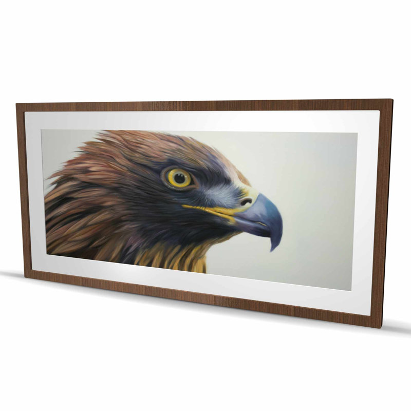 Aigle à tête brune avec motif matte encadré | Best-sellers décoratifs, H 24 po x l 48 po, Brun