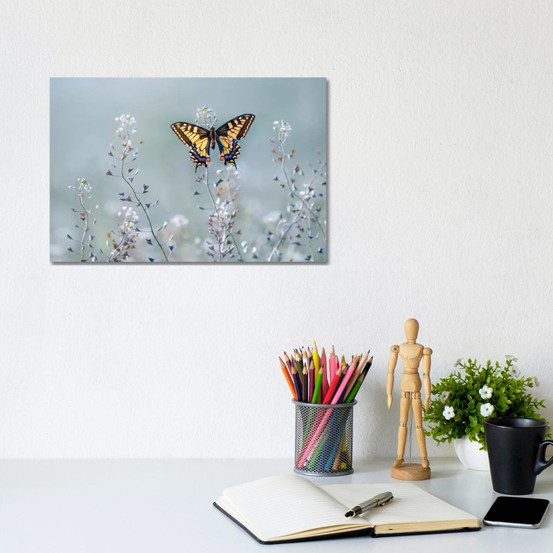 Swallowtail Beauty by Petar Sabol - Wrapped Canvas Gallery-Wrapped Canvas Giclée, 20.32 cm H x 30.48 cm W
