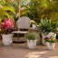 Pot à fleurs intérieur / extérieur Traditional-927975561-867405339