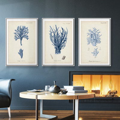 " Antique Coral In Navy IV " 3 - Pieces