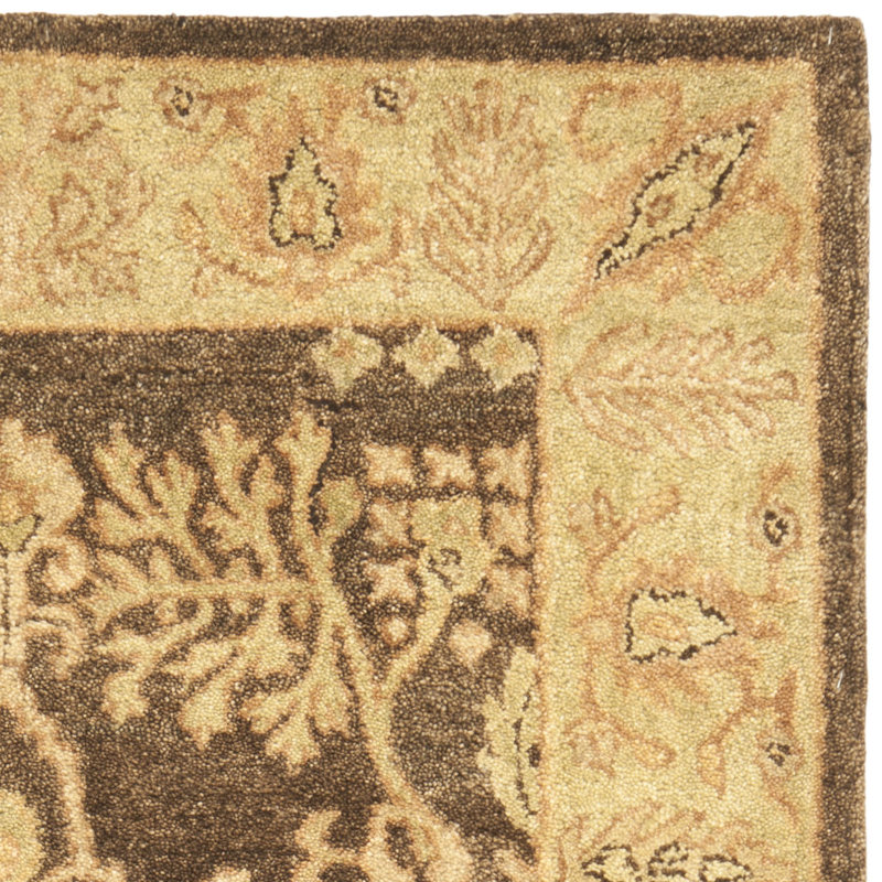 Molter Bergama Hand Tufted Wool Oriental Rug, Rectangle 3' x 5'