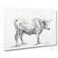 Sketch Of A Bull by Jean Bernard - Wrapped Canvas Print-55318453