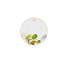 Service de table 20 pièces, service pour 4 Amazon
