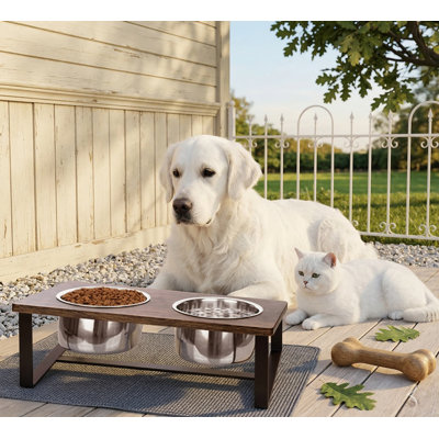Support pour bol incliné surélevé de 3 po avec 2 bols en acier inoxydable antidérapant de 40 oz pour chiens de petite / moyenne taille