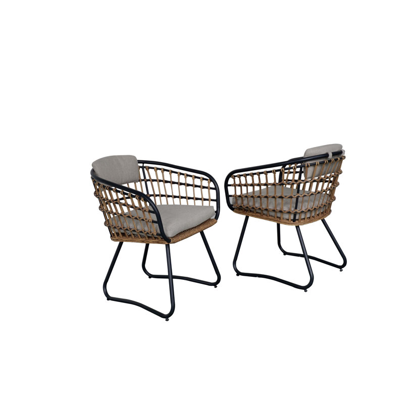 Ensemble de 2 chaises de salle à manger confortables et résistantes à la rouille