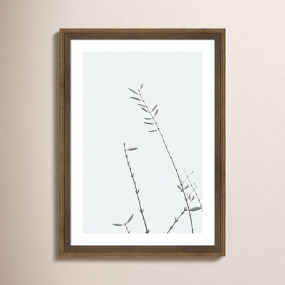 Retro Tennessee Botanical No 3 Photo Print