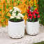 Ravn Planter