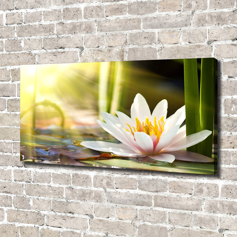 Water Lily - Wrapped Canvas Print