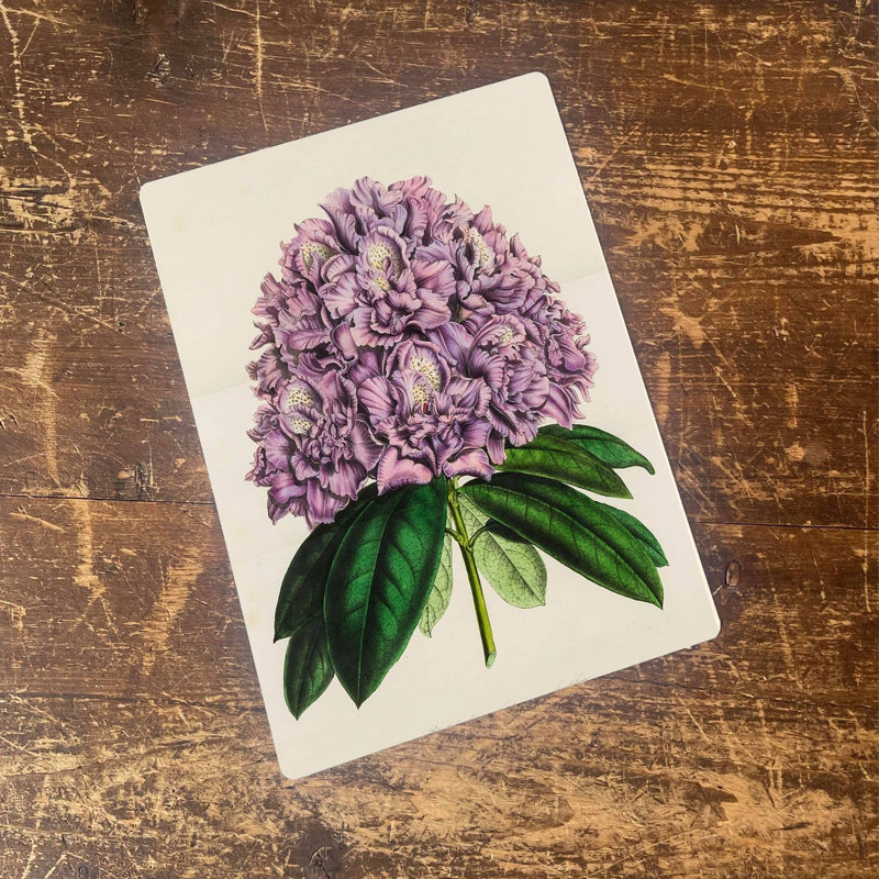 Plants & Flowers Wall Decor on Metal, 20cm H x 15cm W
