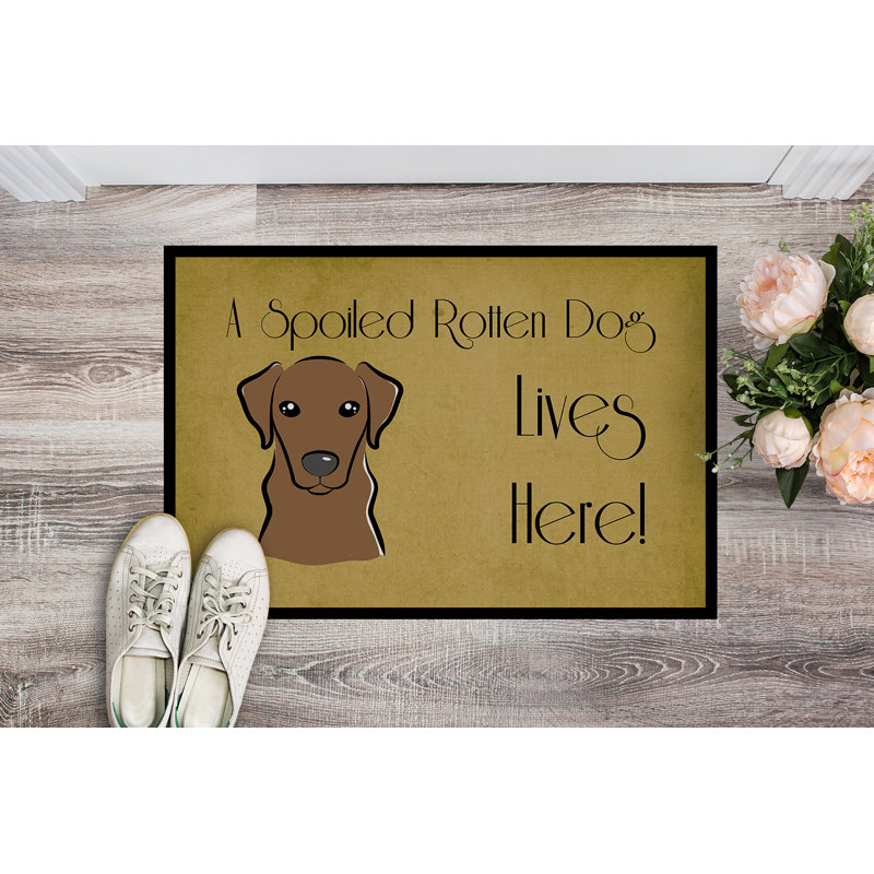 Paillasson d’extérieur antidérapant de style Labrador, Chocolat, Rectangle 1 pi 6 po x 2 pi 3 po