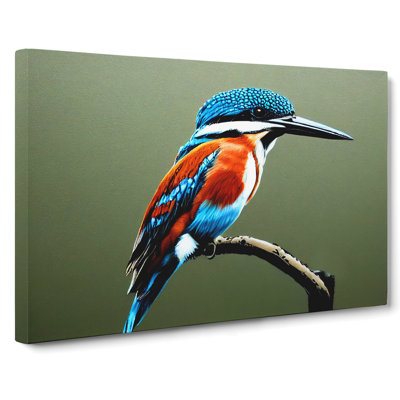 Irresistible Kingfisher Bird - Wrapped Canvas
