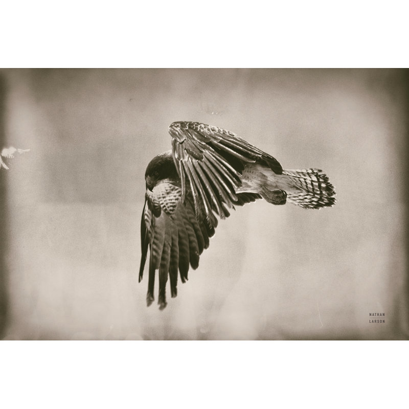 Landing Home by Nathan Larson, 32" H x 48" W