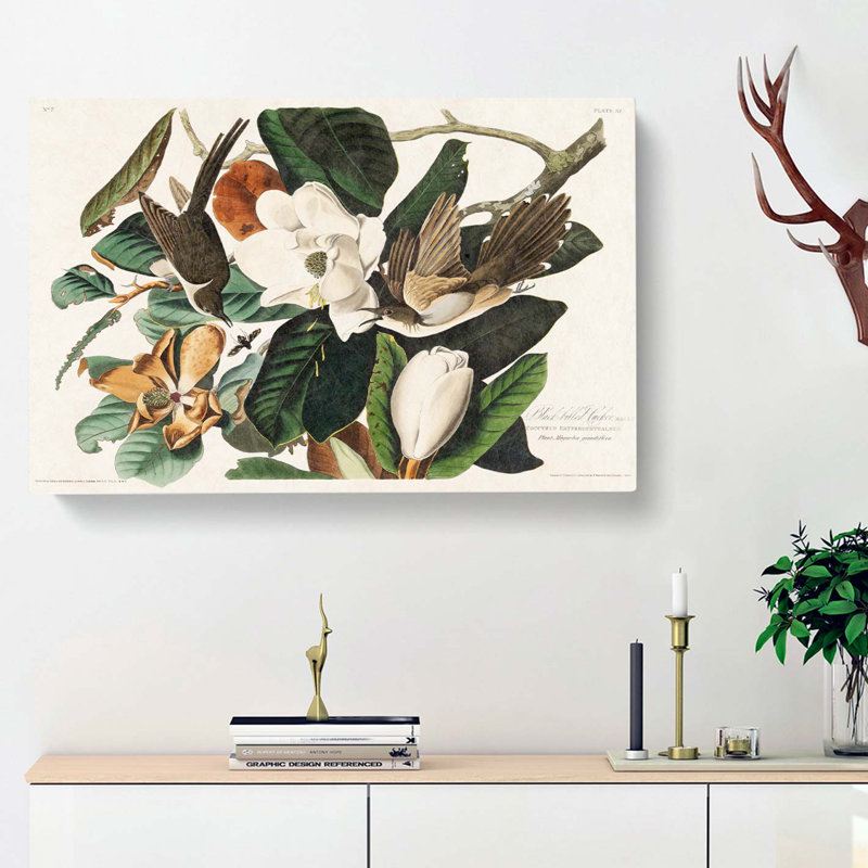 Black-Billed Cuckoo Birds by John James Audubon - Wrapped Canvas, 40cm H x 60cm W x 3cm D