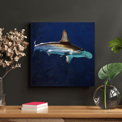 " Hammerhead Shark " Painting Print