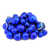Bleu royal est en rupture de stock