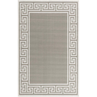Aminia Indoor / Outdoor Rug