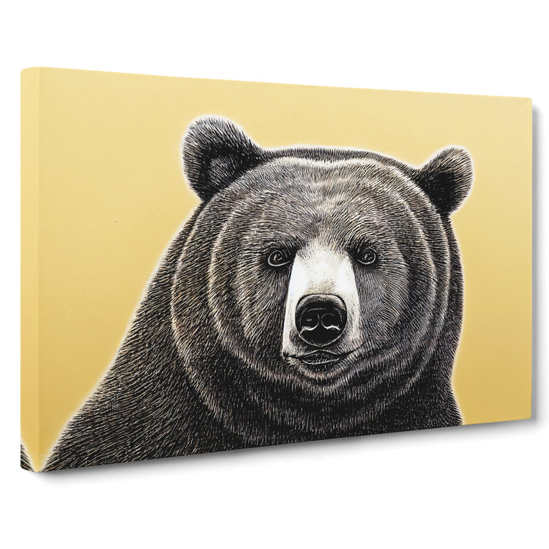 The Interesting Bear - Wrapped Canvas, 35cm H x 50cm W x 3cm D