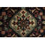 Charmant tapis floral traditionnel 3 x 4