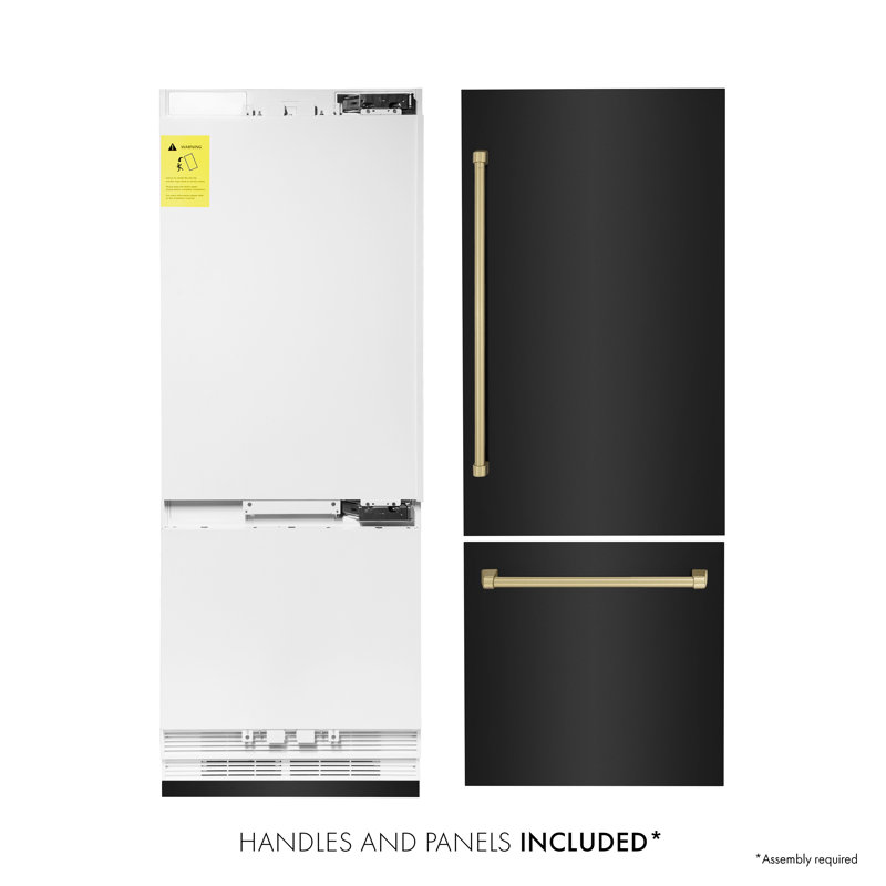 ZLINE 30 Autograph Edition 16.1 cu. ft. Built-in 2-Door Bottom Freezer Refrigerator with Accent, Black Stainless Steel