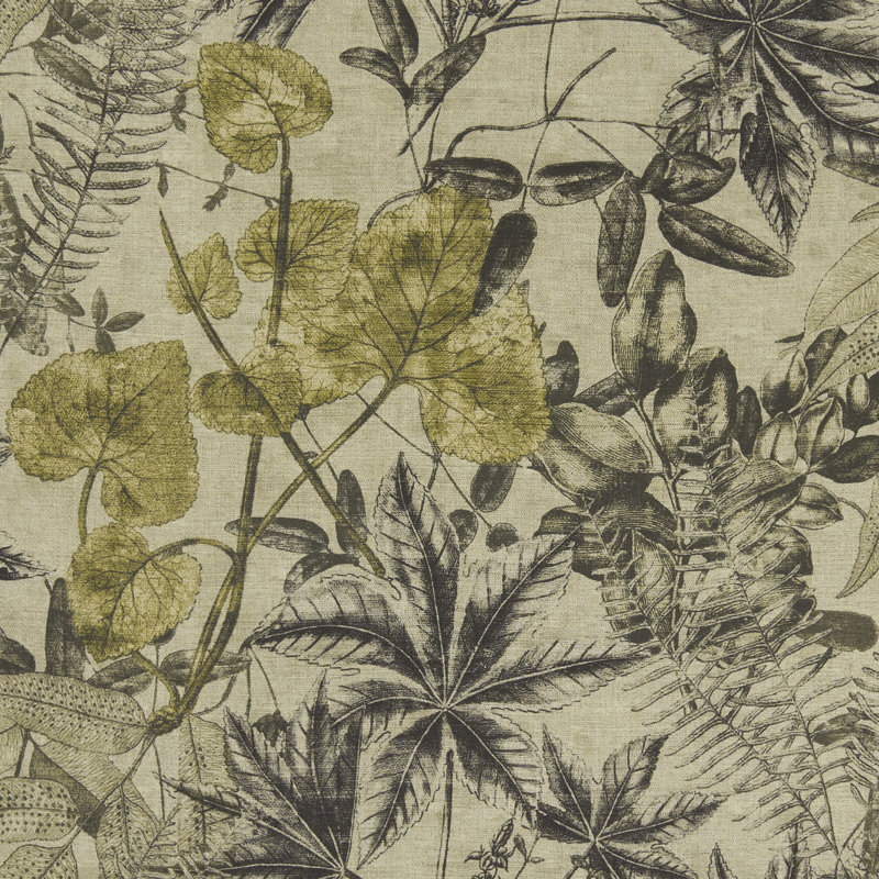 Exotica Madagascar Fabric, Charcoal/Charteuse