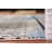 Transitional Oriental Area Rug 10x13