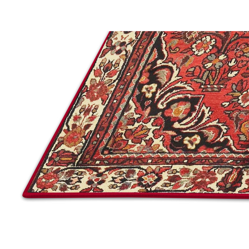 Tapis beige/rouge/noir traditionnel Baboquivari, Rectangle 4 pi x 6 pi